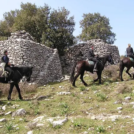 Menta E Rosmarino Monte SantʼAngelo
