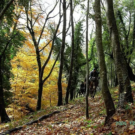 Menta E Rosmarino Szálloda