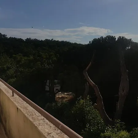 Szálloda Menta E Rosmarino 2*