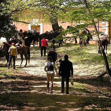 Menta E Rosmarino 2*