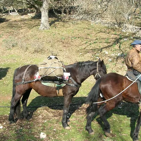 Szálloda Menta E Rosmarino Monte SantʼAngelo