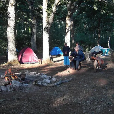 Menta E Rosmarino 2* Monte SantʼAngelo