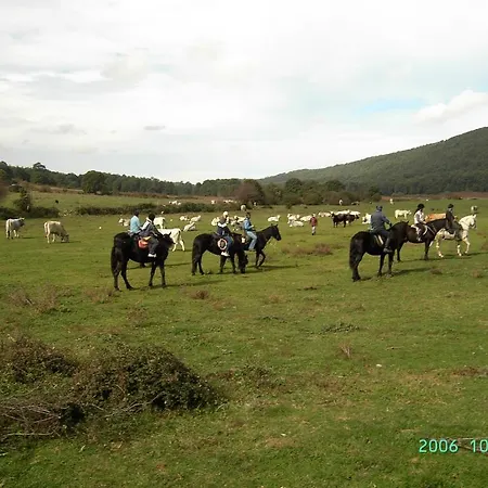 Menta E Rosmarino 2* Monte SantʼAngelo