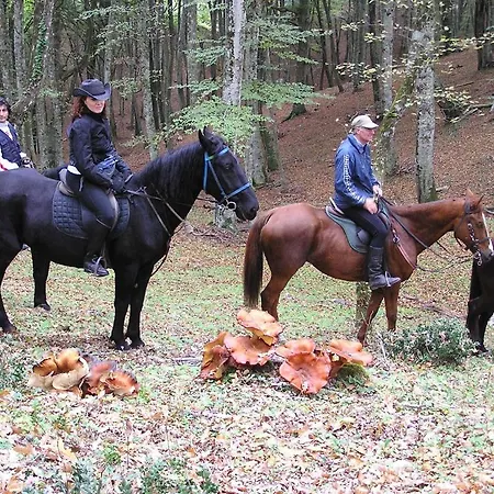 Menta E Rosmarino Ξενοδοχείο 2*