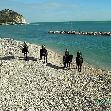 Menta E Rosmarino 2* Monte SantʼAngelo