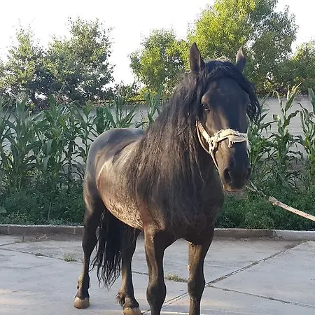 Ξενοδοχείο Menta E Rosmarino