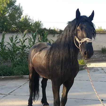 Ξενοδοχείο Menta E Rosmarino
