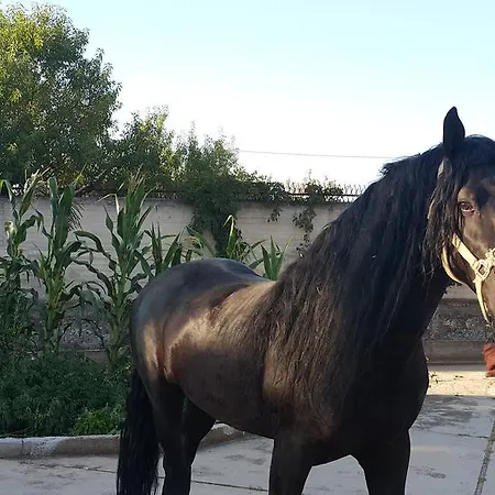 Hotel Menta E Rosmarino Monte SantʼAngelo