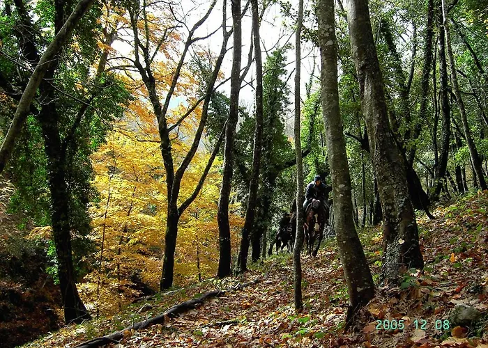 Menta E Rosmarino Hotel