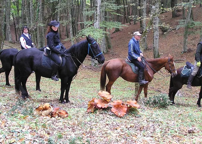 Menta E Rosmarino Hotel 2*